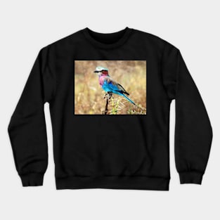 Lilac Breasted Roller, Serengeti, Tanzania Crewneck Sweatshirt